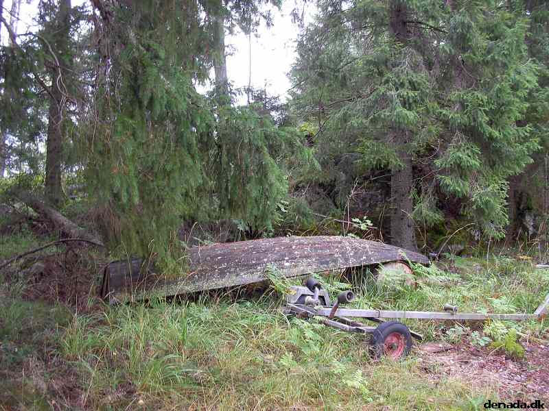 * Image 79