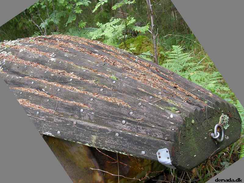 * Image 80