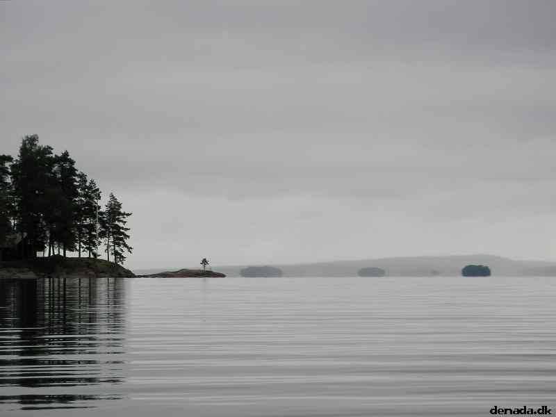 * Image 99