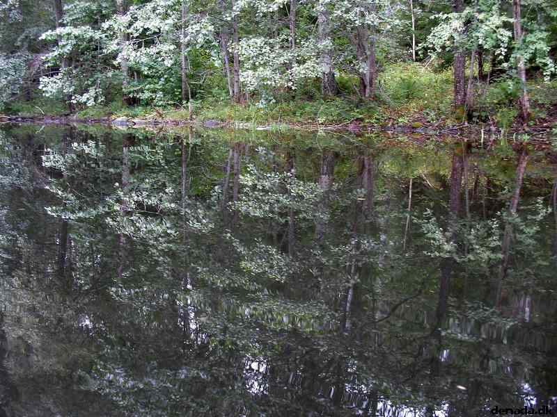 * Image 147