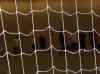 HPIM0314.JPG - 2006:01:31 20:57:43