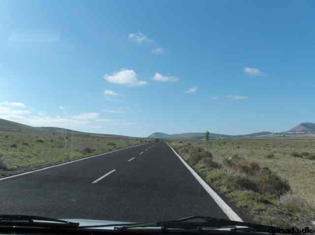 * Image 204