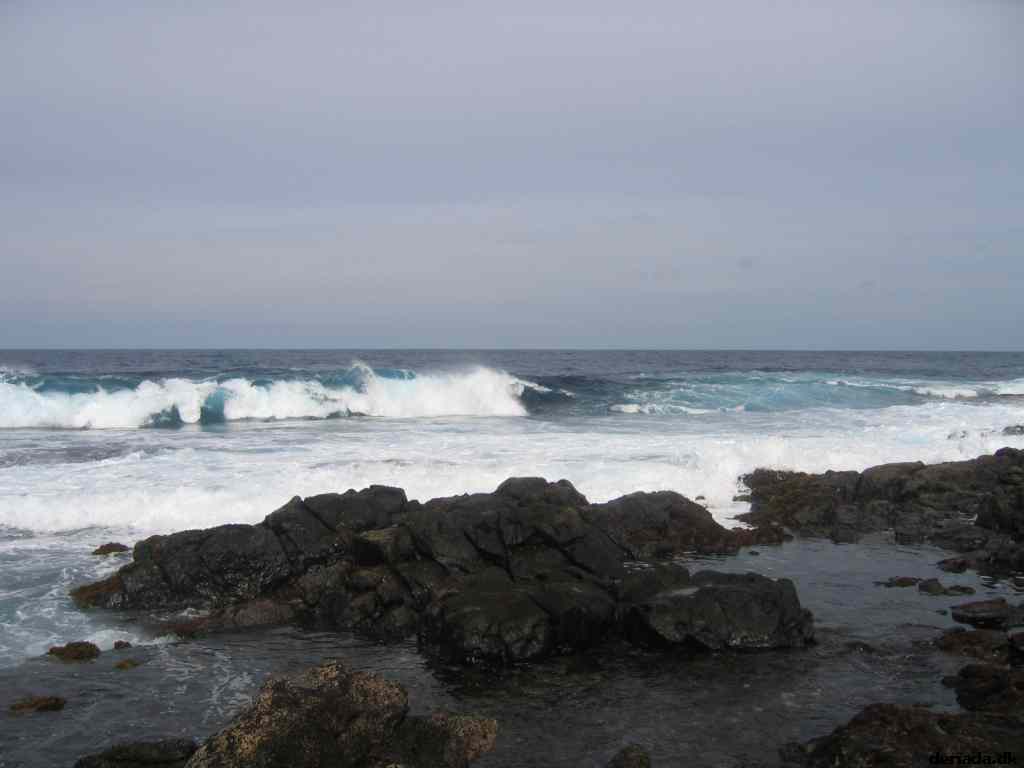 * Image 13