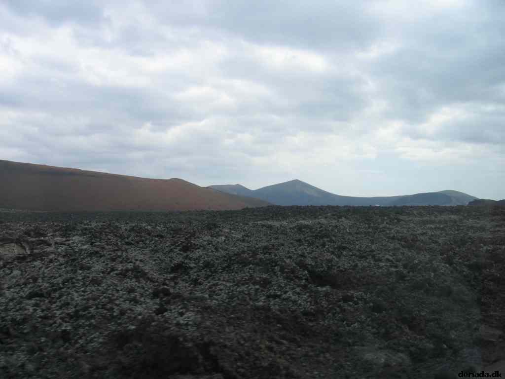 * Image 15