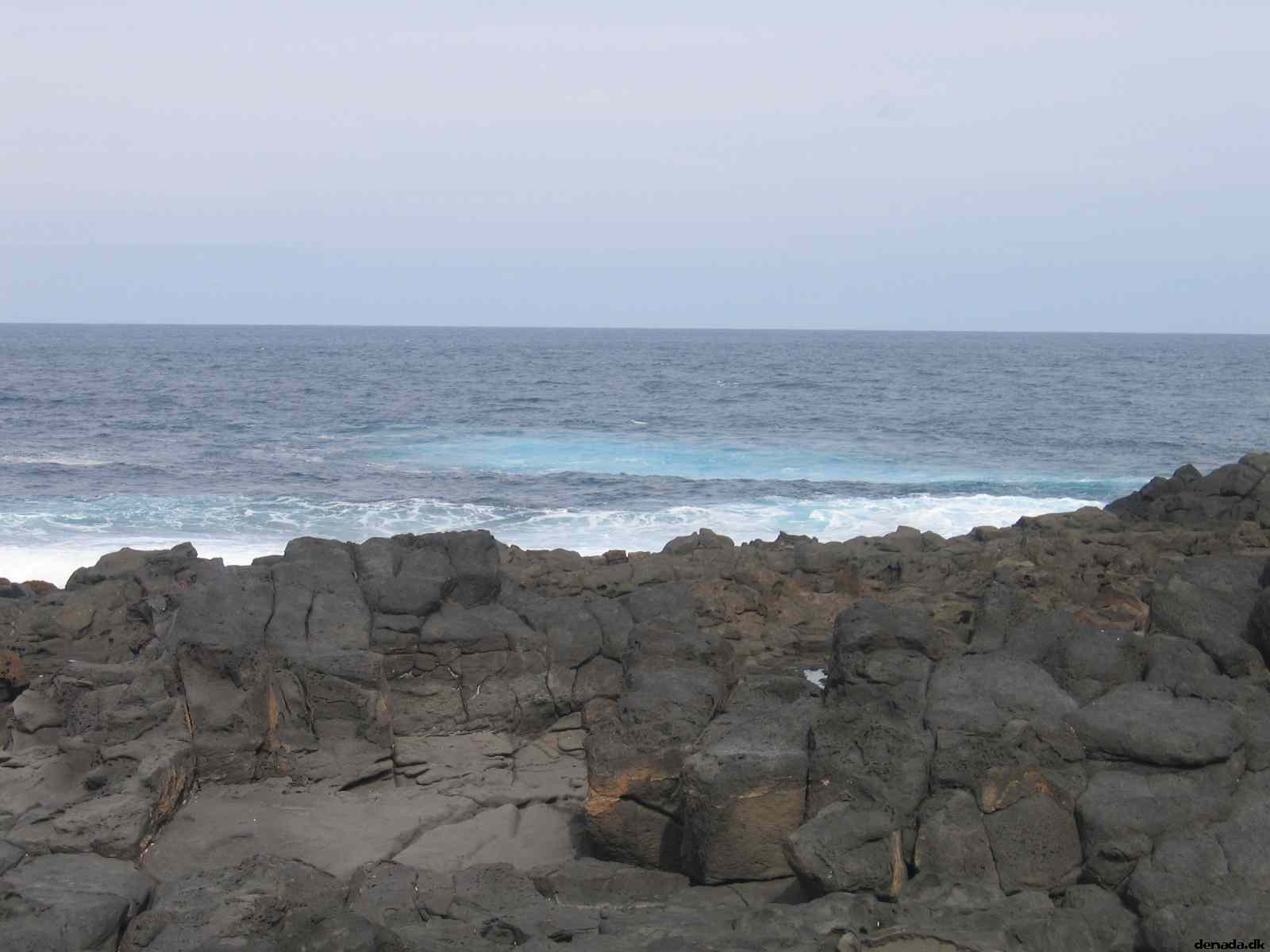 * Image 11