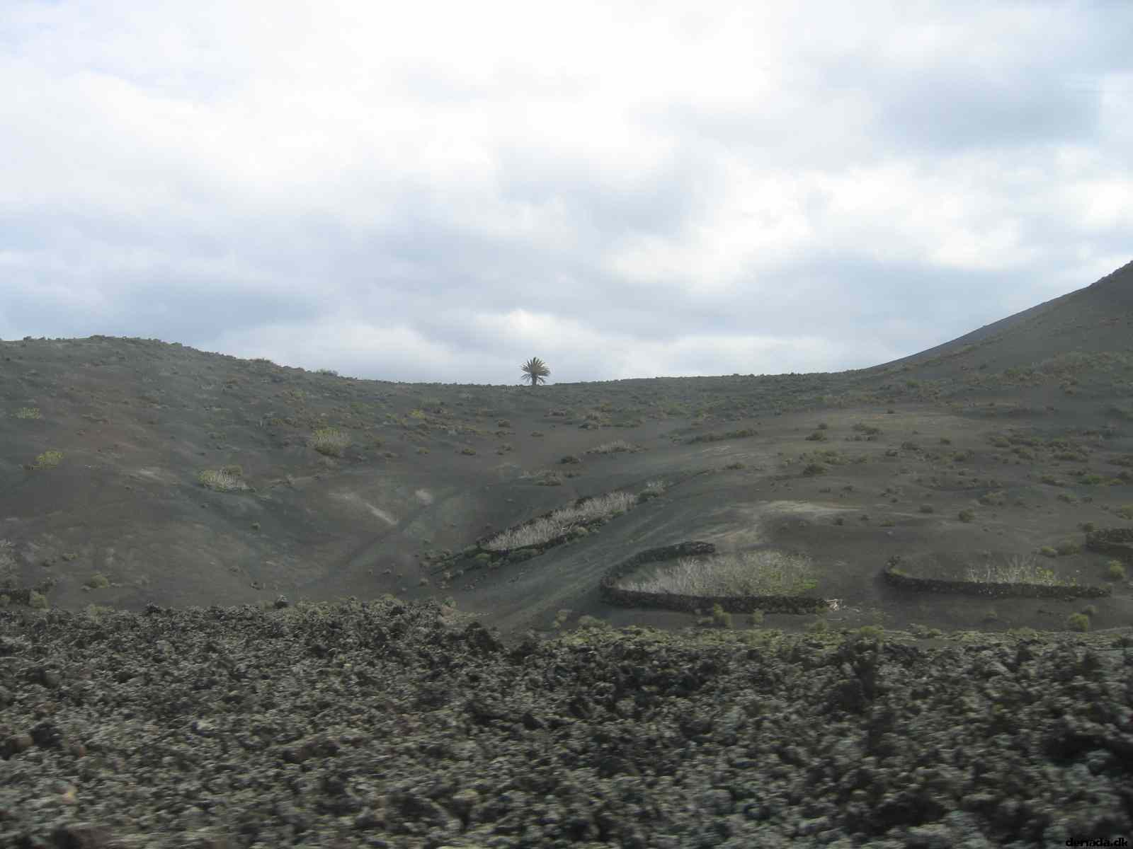 * Image 14
