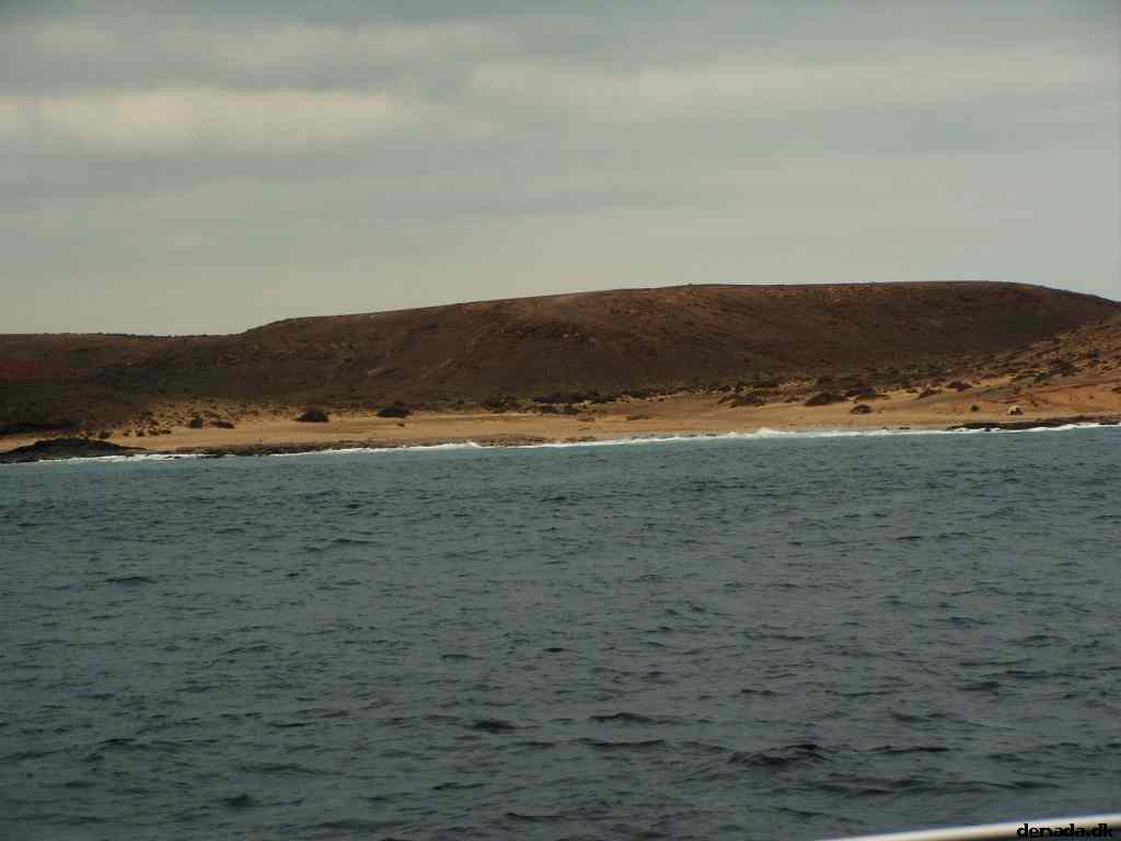 * Image 96