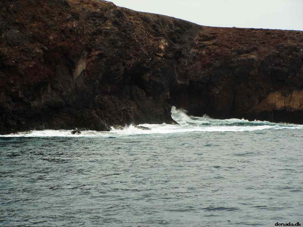 * Image 103