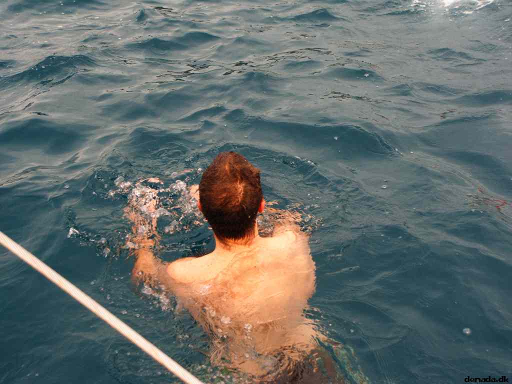 * Image 113