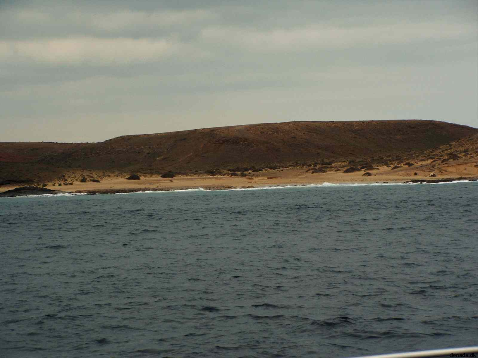 * Image 96