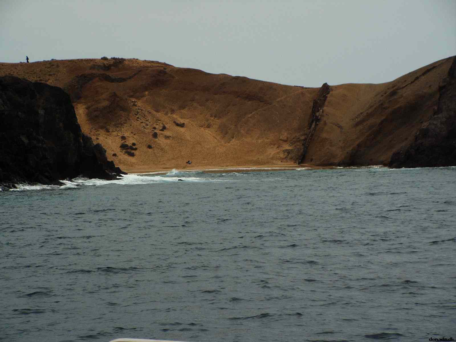* Image 97