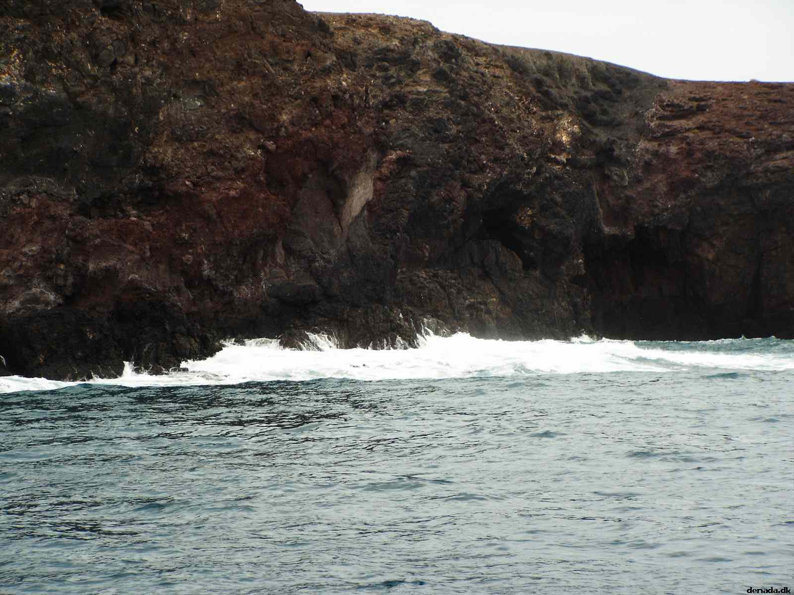 * Image 101