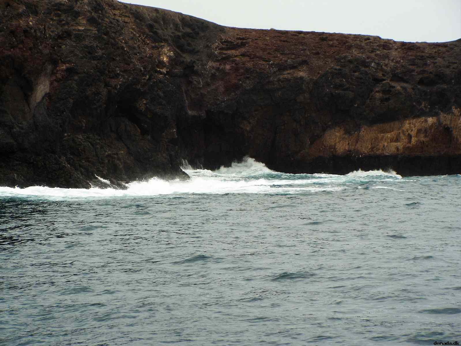 * Image 102