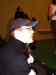 PICT0076.JPG - 