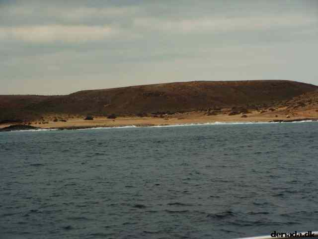 * Image 96