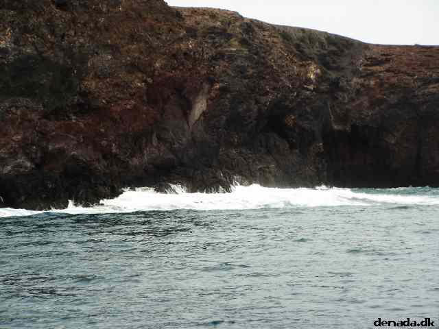 * Image 101