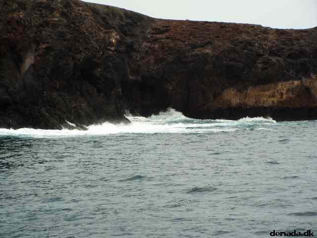 * Image 102