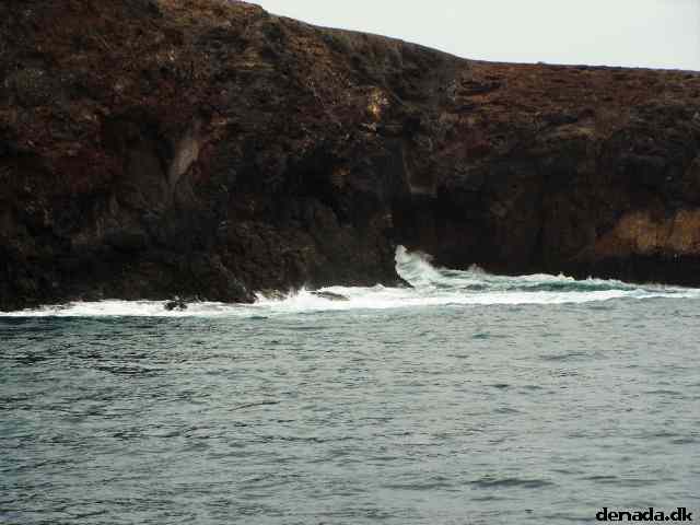 * Image 103