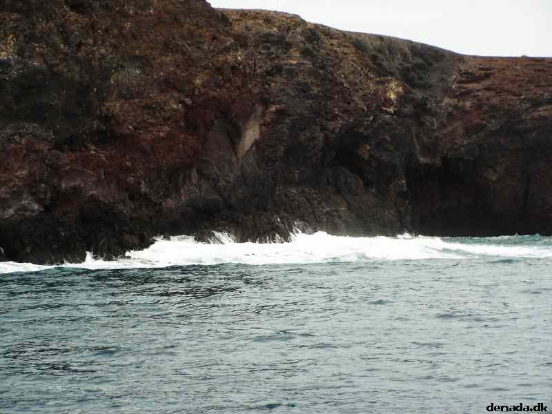 * Image 101