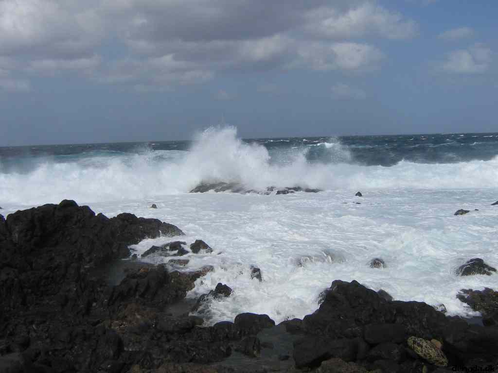 * Image 1
