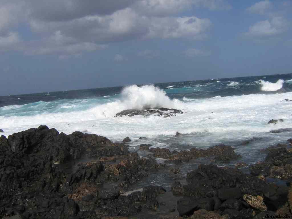 * Image 2