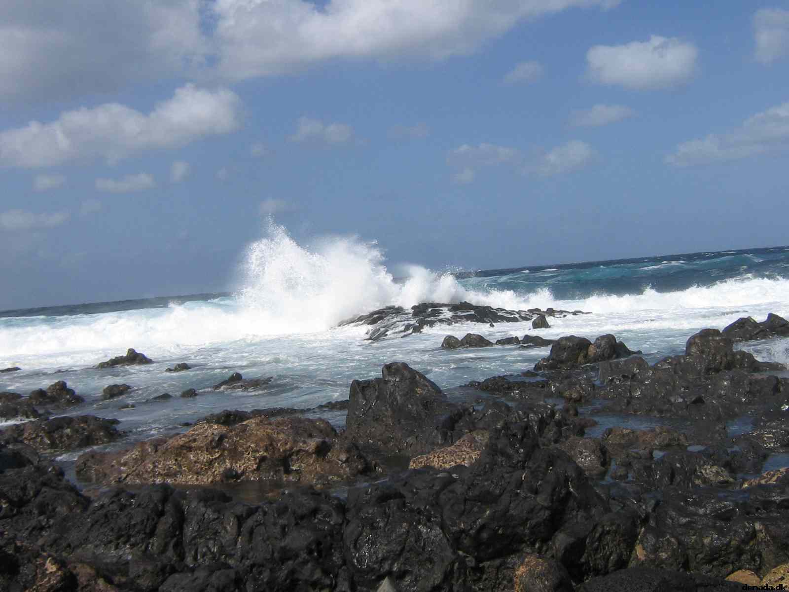 * Image 4