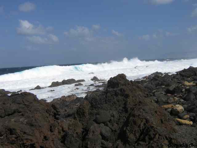 * Image 3
