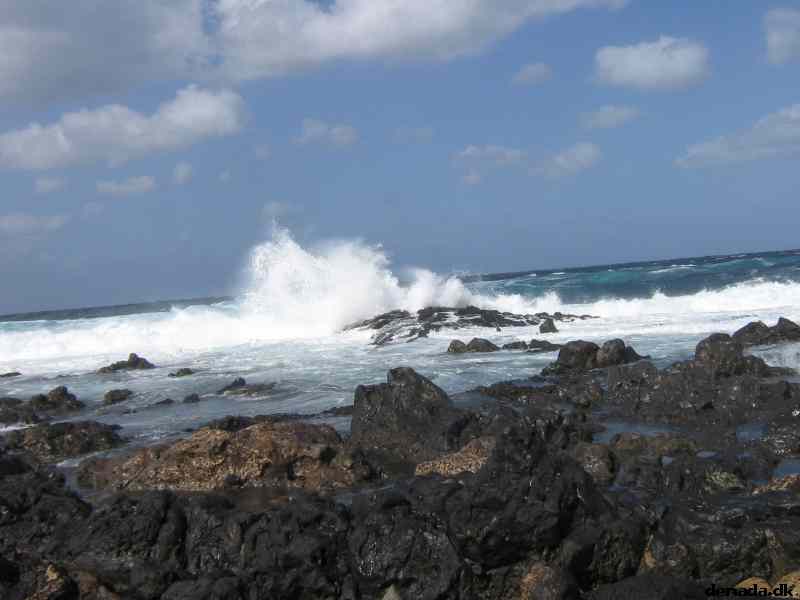 * Image 4