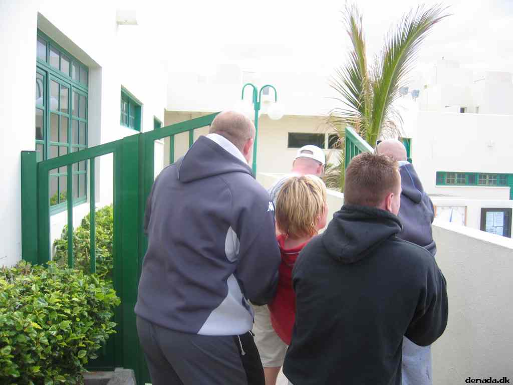 * Image 31