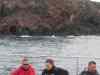 Billede_403.jpg - 2006:02:01 17:20:41