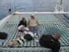 Billede_405.jpg - 2006:02:01 17:20:56