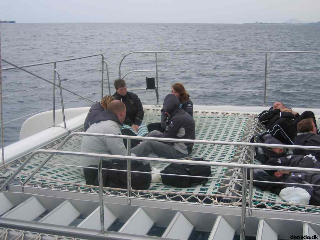 * Image 42