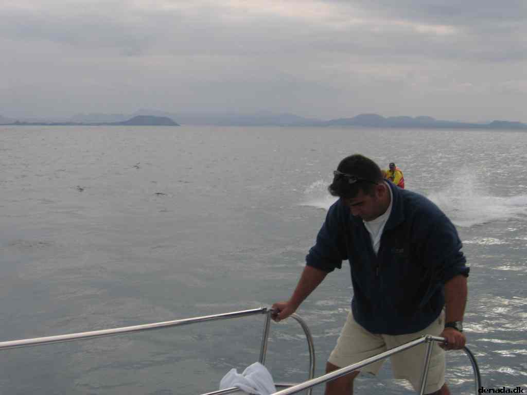 * Image 59