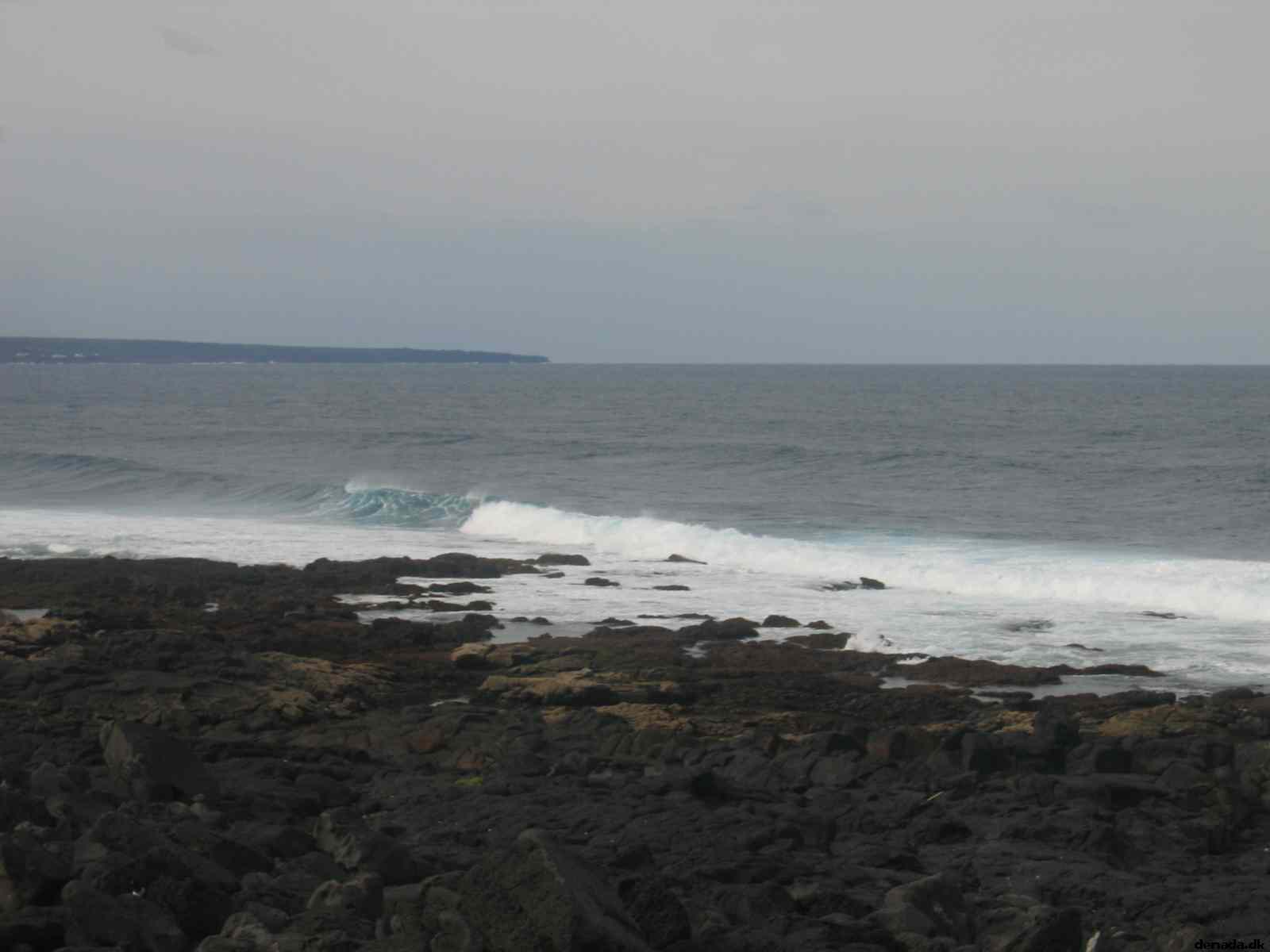 * Image 15