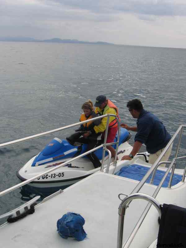 * Image 65