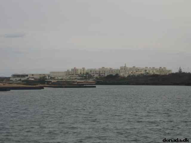 * Image 10