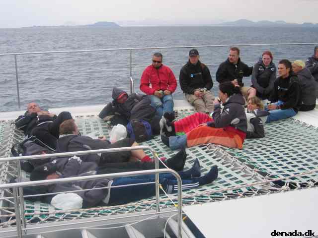 * Image 43