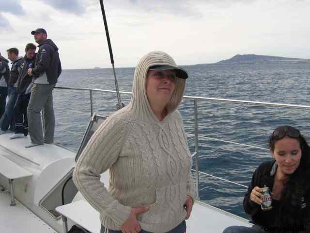 * Image 102