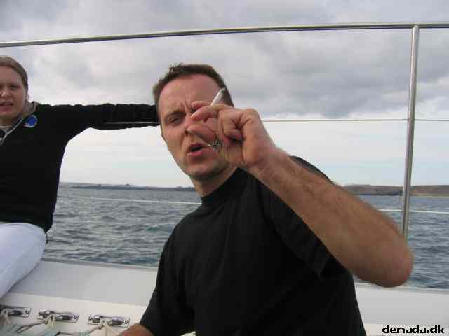 * Image 106