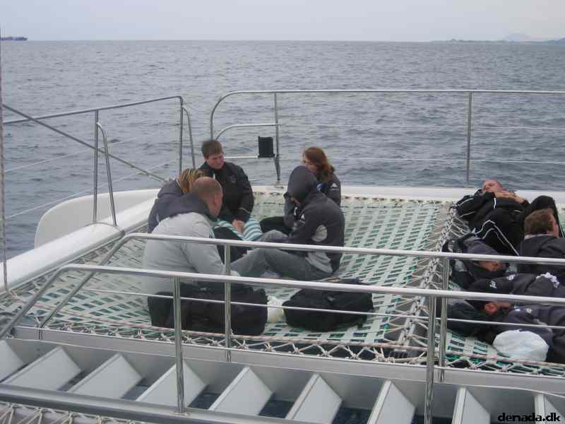 * Image 42