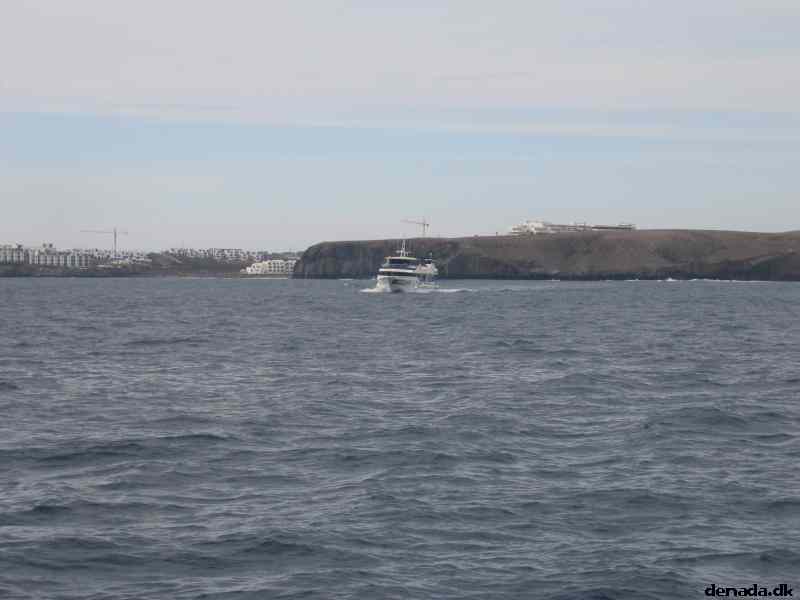 * Image 85