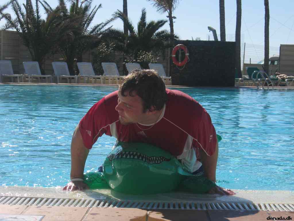 * Image 28