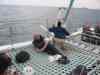Billede_309.jpg - 2006:02:01 15:48:07