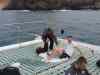 Billede_351.jpg - 2006:02:01 17:03:33