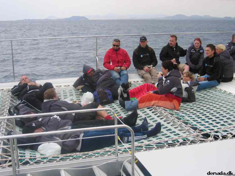 * Image 307