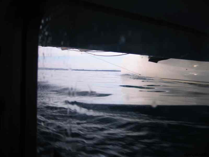 * Image 397