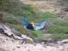 DSCF2842.JPG - 2006:02:01 09:40:18