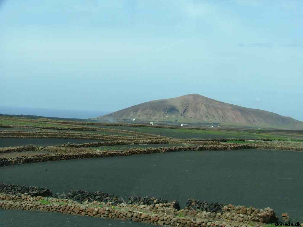 * Image 115