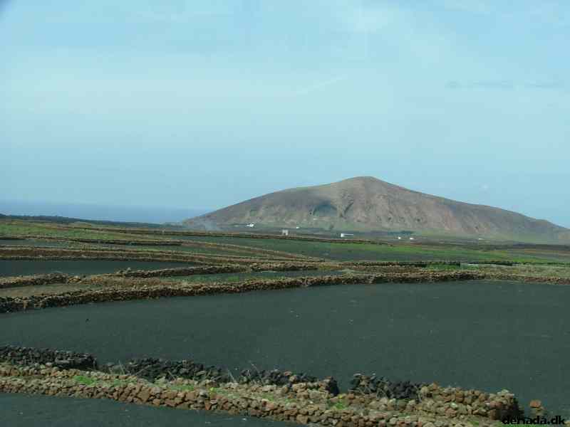 * Image 115