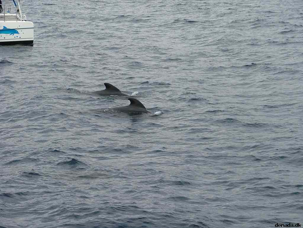 * Image 184